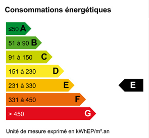 DPE = 267 kWhEP/m².an (E)