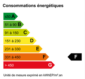 DPE = 389 kWhEP/m².an (F)