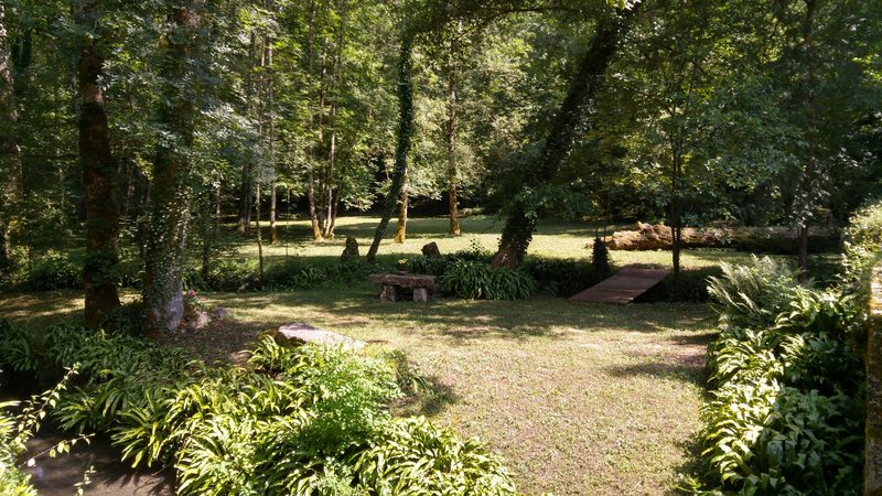 Terrain avec ruisseau