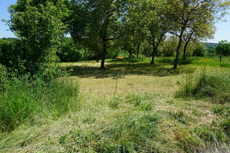 Terrain de 8500 m² 