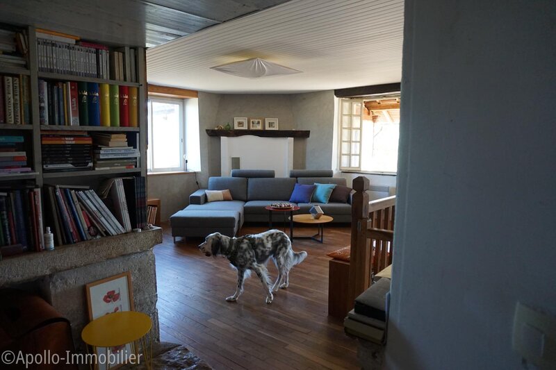Salon de 26 m² avec bibliothèque